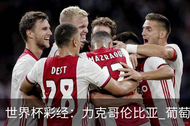 世界杯彩经：力克哥伦比亚 葡萄牙抢占榜首